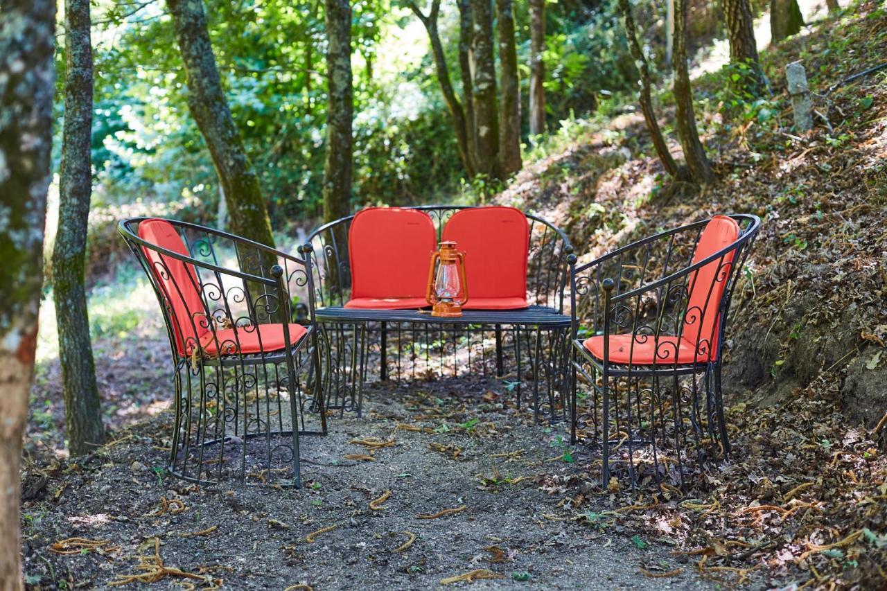 פנאפיל Quinta Do Lordelo Turismo Rural מראה חיצוני תמונה